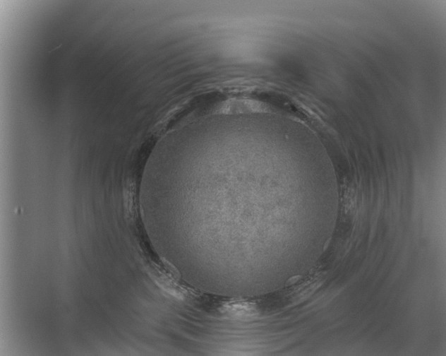 X0000072970283200607282330