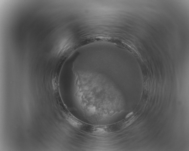 X0000072970285200607282330