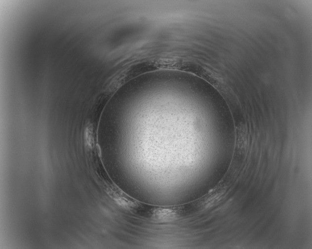 X0000072970287200607282330