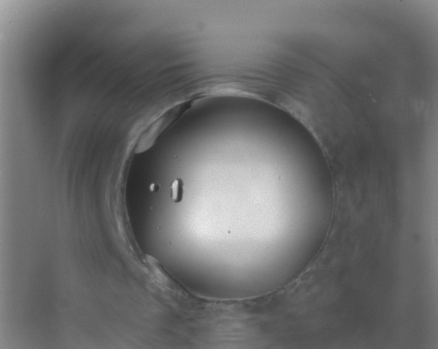 X0000072970289200607282329