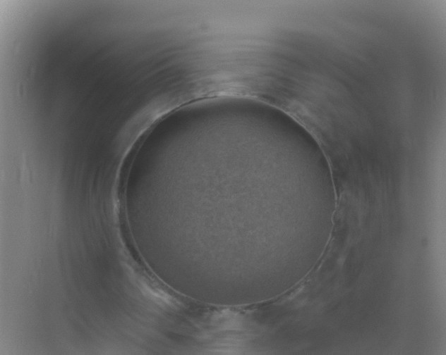 X0000072970290200607282329