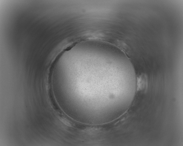 X0000072970291200607282329