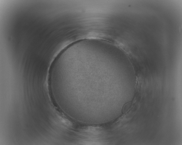 X0000072970292200607282329