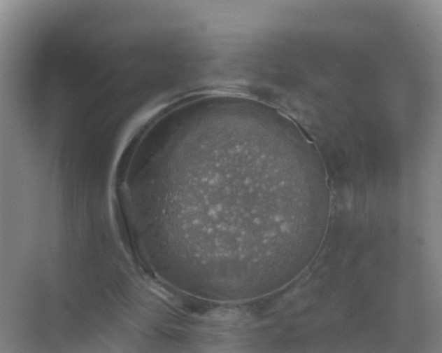 X0000072970294200607282329