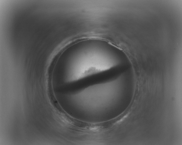 X0000072970295200607282329