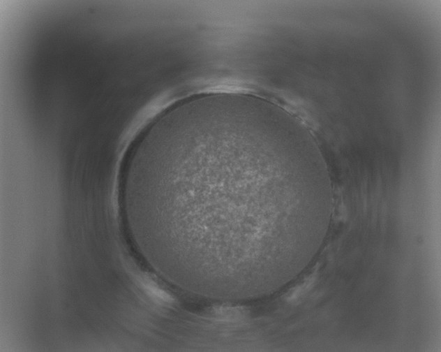 X0000072970296200607282329