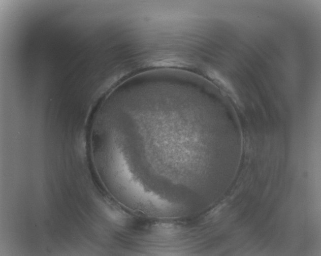 X0000072970298200607282329