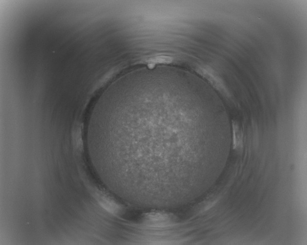 X0000072970300200607282329