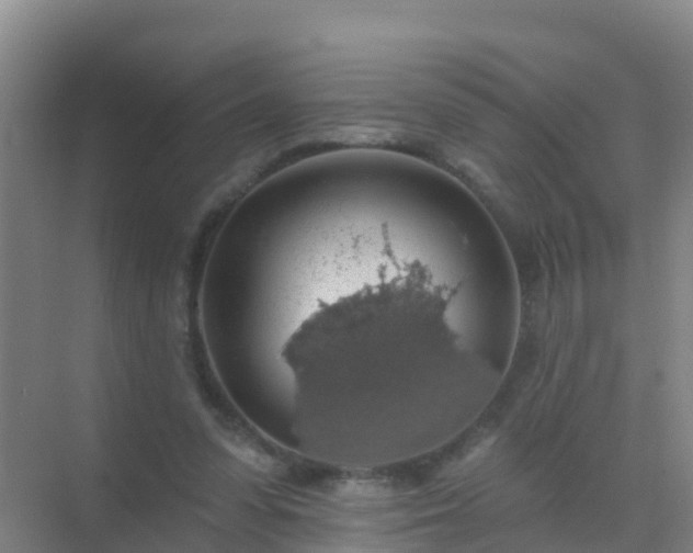 X0000072970303200607282329