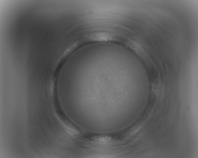 X0000072970304200607282329