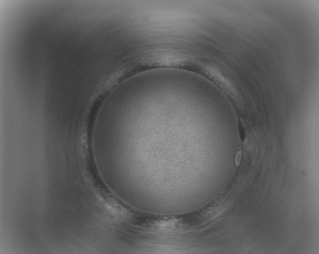 X0000072970306200607282329