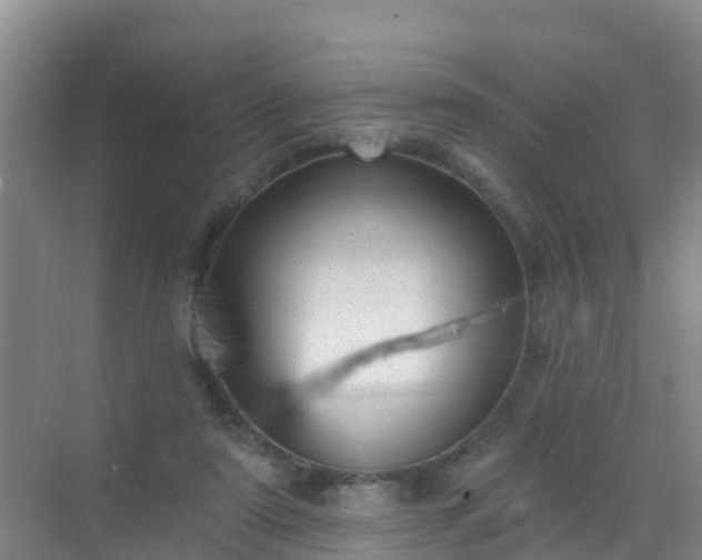 X0000072970307200607282329