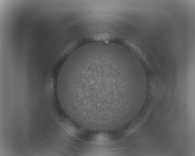 X0000072970308200607282329