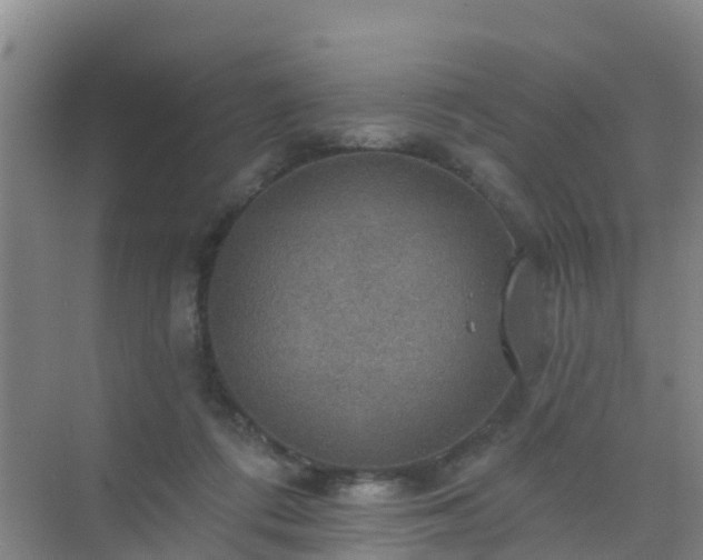 X0000072970312200607282329