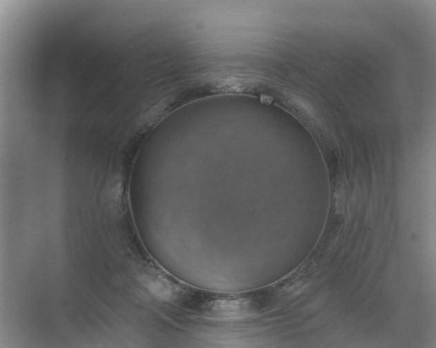 X0000072970314200607282329