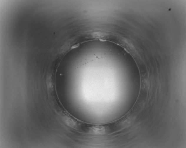 X0000072970317200607282329