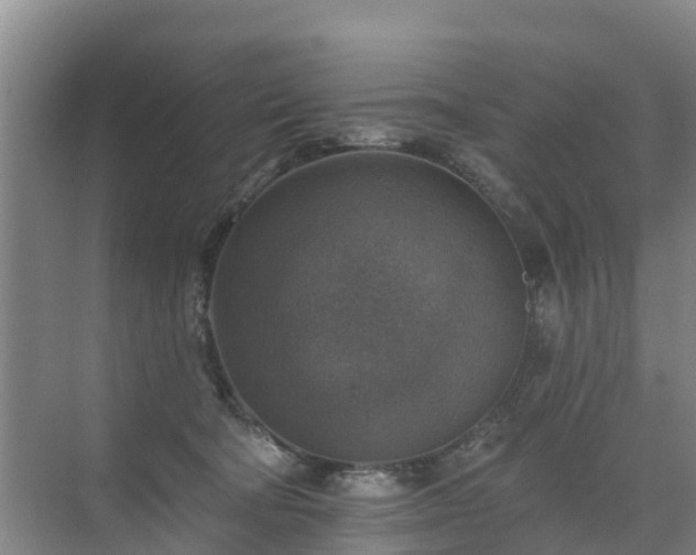 X0000072970322200607282328