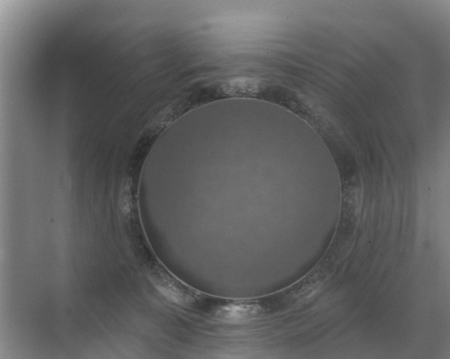 X0000072970323200607282328