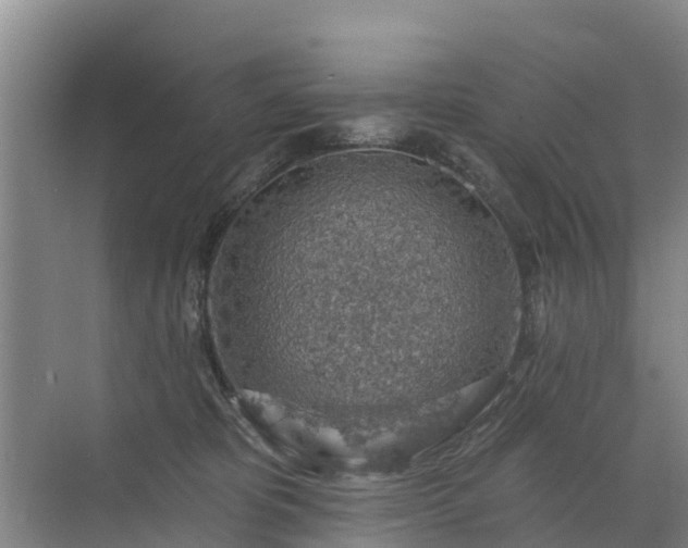 X0000072970325200607282328