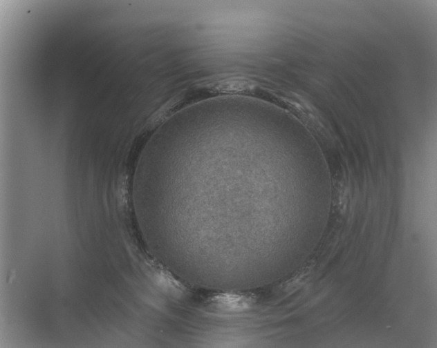 X0000072970326200607282328