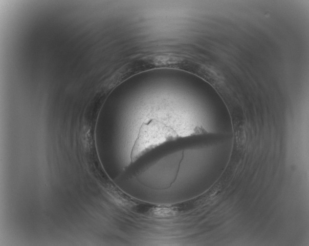 X0000072970327200607282328