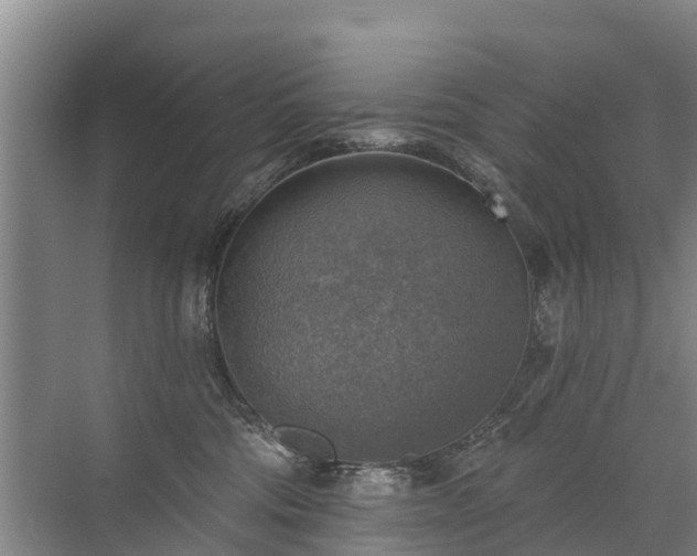 X0000072970330200607282328