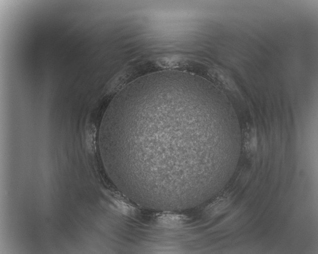 X0000072970332200607282328