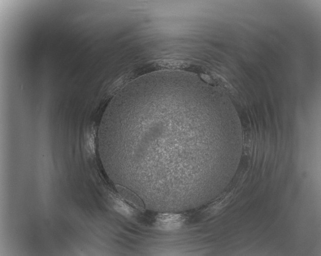 X0000072970334200607282328