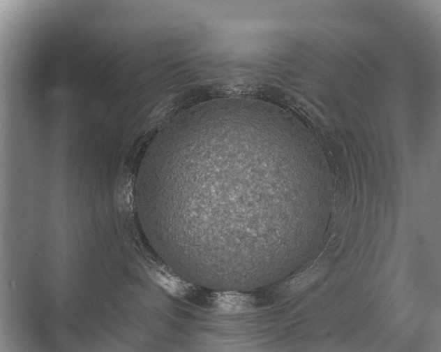 X0000072970336200607282328