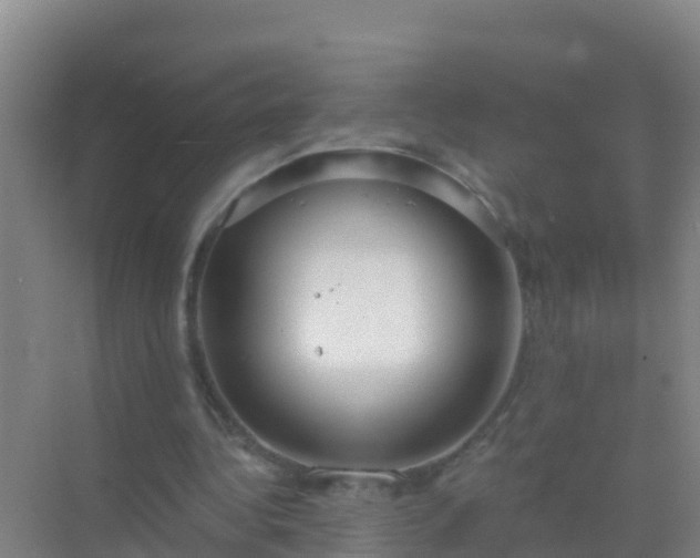 X0000072970340200607282327