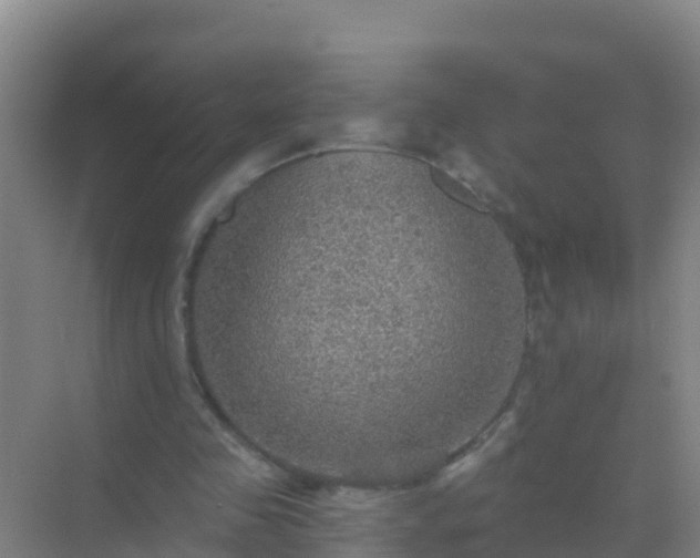 X0000072970341200607282327