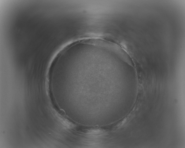 X0000072970342200607282327