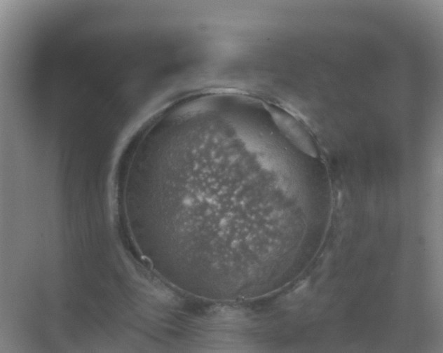 X0000072970343200607282327