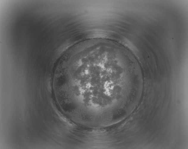 X0000072970345200607282328