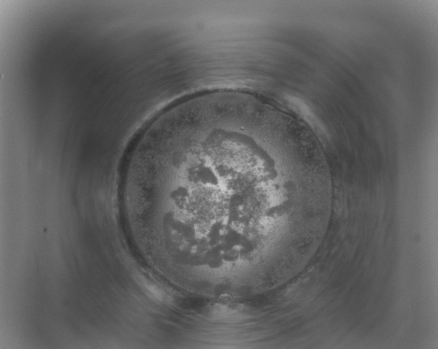 X0000072970346200607282328