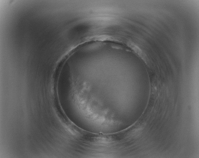 X0000072970347200607282328