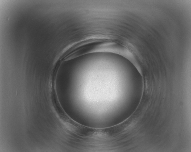 X0000072970348200607282328