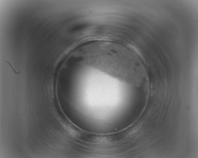 X0000072970349200607282328