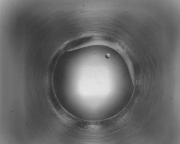 X0000072970352200607282328