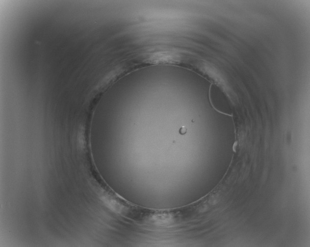 X0000072970353200607282328