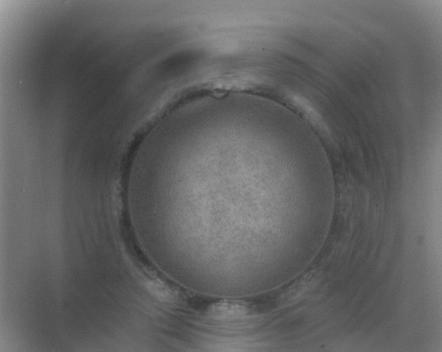 X0000072970354200607282328