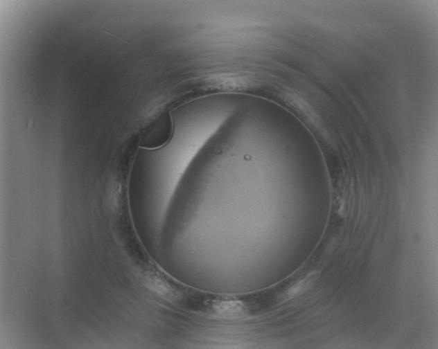 X0000072970355200607282328