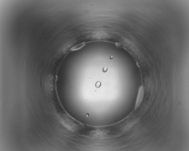 X0000072970356200607282328