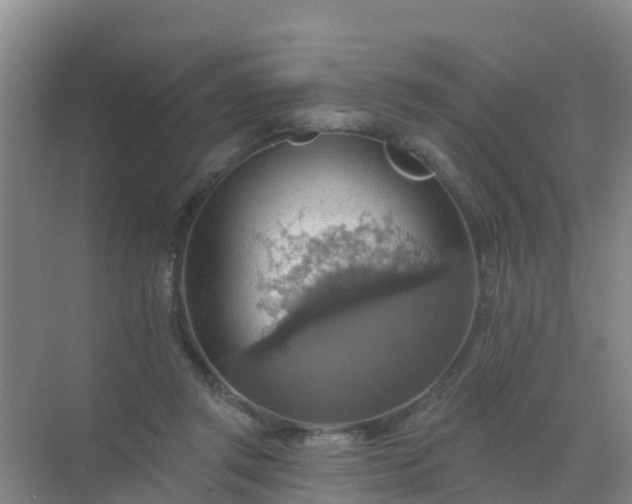 X0000072970357200607282328