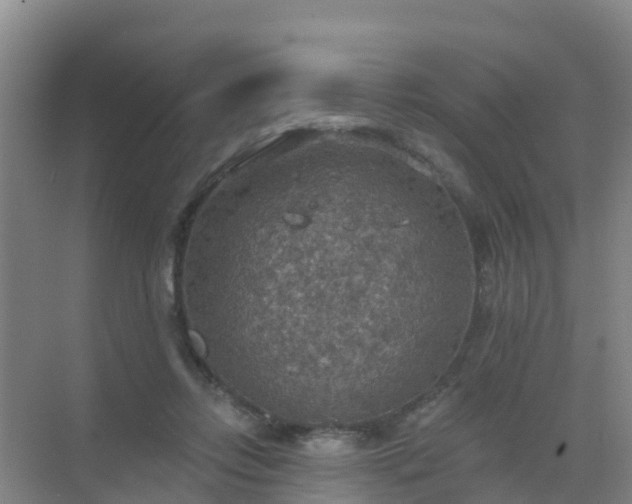 X0000072970358200607282328