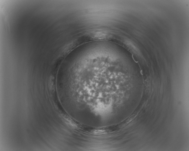 X0000072970361200607282328