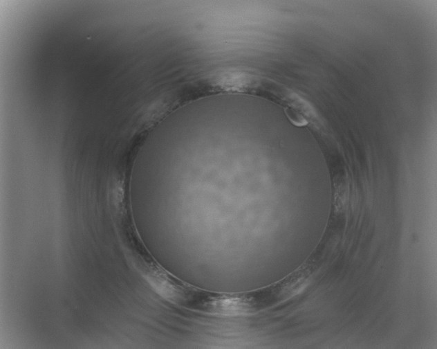 X0000072970365200607282328