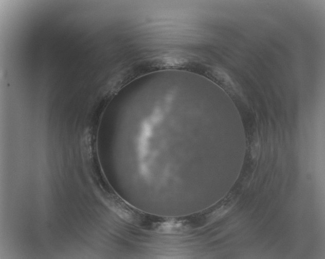 X0000072970366200607282328