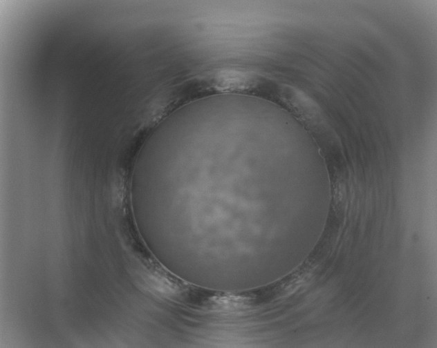 X0000072970367200607282328