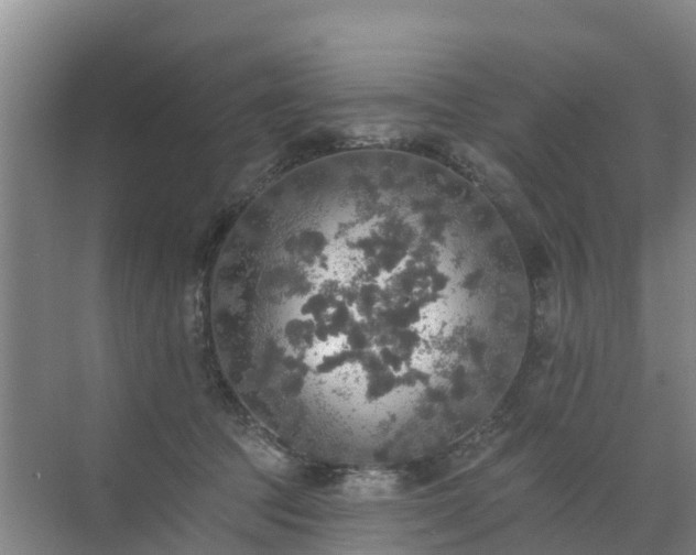 X0000072970369200607282328